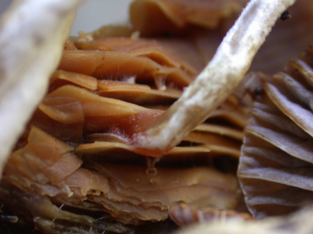 Sar� facile ....  ???   Quizzzz